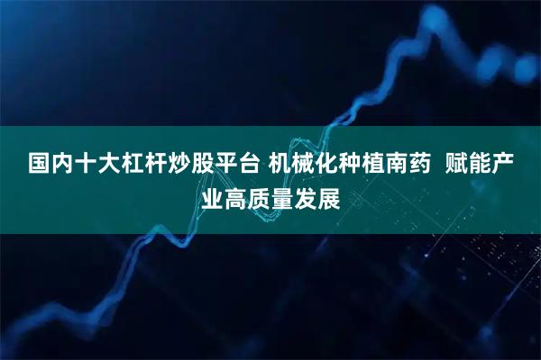 国内十大杠杆炒股平台 机械化种植南药  赋能产业高质量发展