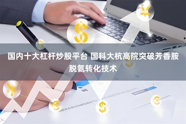国内十大杠杆炒股平台 国科大杭高院突破芳香胺脱氨转化技术