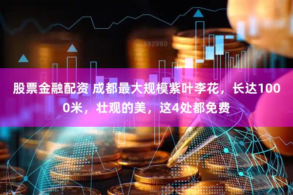 股票金融配资 成都最大规模紫叶李花，长达1000米，壮观的美，这4处都免费