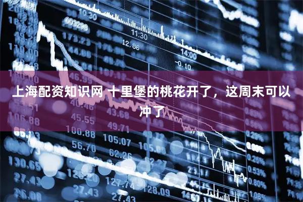 上海配资知识网 十里堡的桃花开了，这周末可以冲了