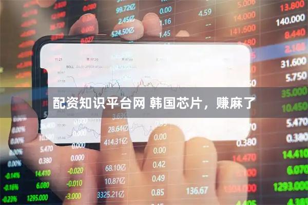 配资知识平台网 韩国芯片，赚麻了